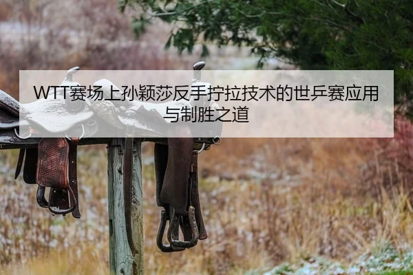 WTT赛场上孙颖莎反手拧拉技术的世乒赛应用与制胜之道