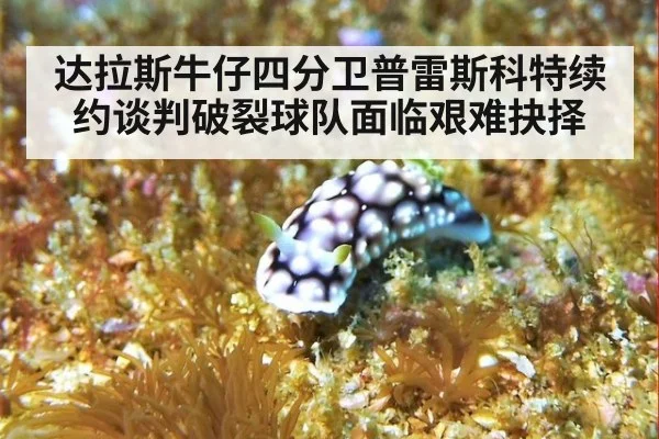 达拉斯牛仔四分卫普雷斯科特续约谈判破裂球队面临艰难抉择