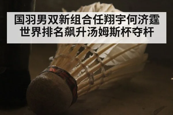 国羽男双新组合任翔宇何济霆世界排名飙升汤姆斯杯夺杆