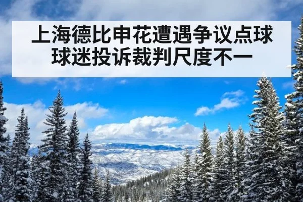 上海德比申花遭遇争议点球球迷投诉裁判尺度不一